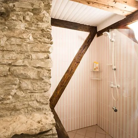 Luxury 4 Bedroom With Terrace And Sauna דירה טאלין