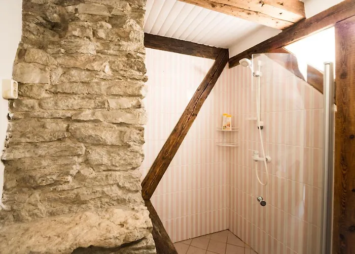 Luxury 4 Bedroom With Terrace And Sauna Apartment Tallinn